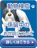 動物検疫・係留中のお世話について