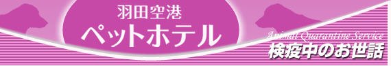 検疫中のお世話