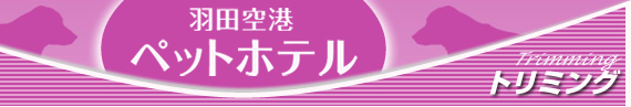 �g���~���O