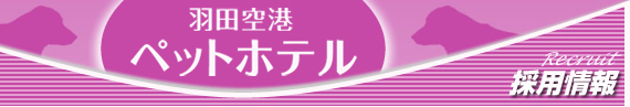 採用情報