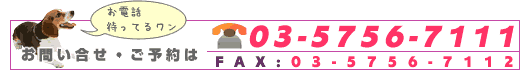 ���₢�����E���\��� TEL 03-5756-7111 / FAX 03-5756-7112