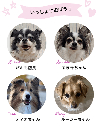 いっしょに遊ぼう！【がんも店長】【すまきちゃん】【ティナちゃん】【ルーシーちゃん】