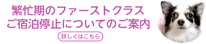 繁忙期のファーストクラスご宿泊停止についてのご案内　【詳しくはこちら】