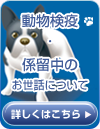 動物検疫・係留中のお世話について